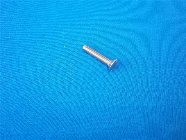 Linsensenkschraube Lichtmaschinendeckel VA R27