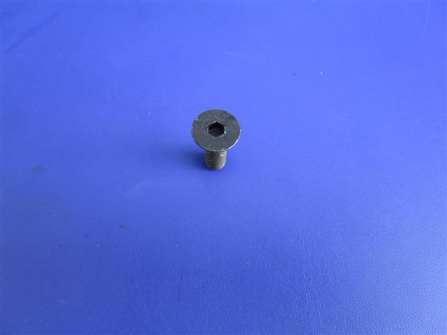 Senkschraube Lenkerendeausgleichgewicht  R80R,100R,K100 Modelle,K1