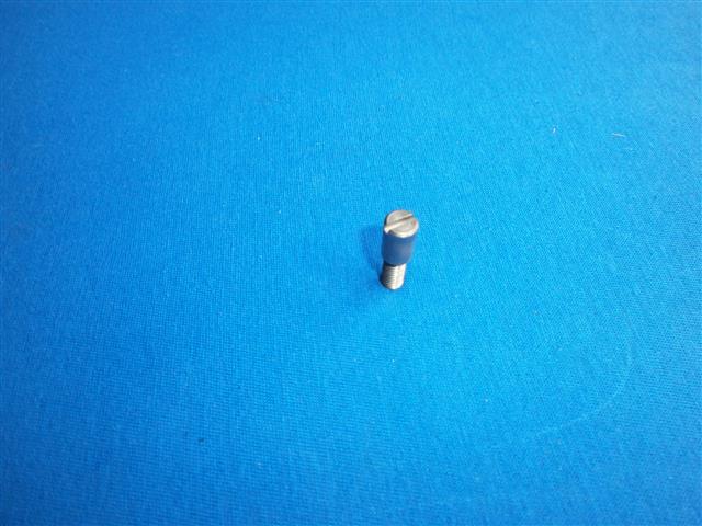 Hebelschraube Brems/Kupplungshebel Edelstahl  R50-69S und Boxer ab 1970-1995 (nicht passend für R80GS,100GS 1990-1995 und R80R,100R,Basic)